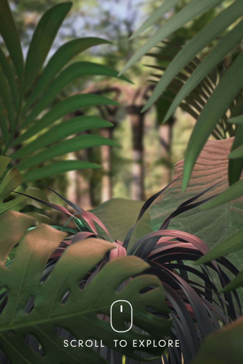 Paradise Found
