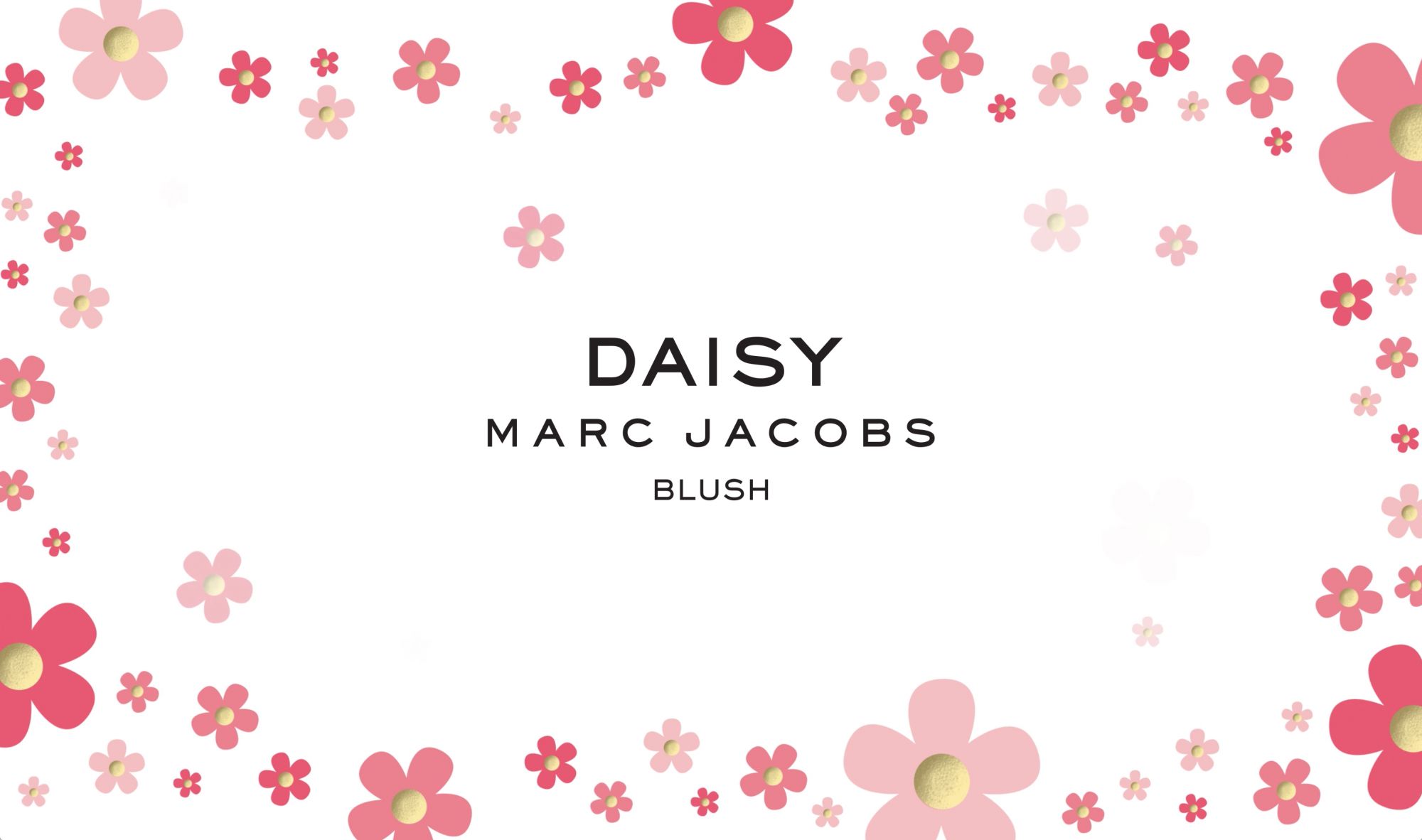 Daisy Blush