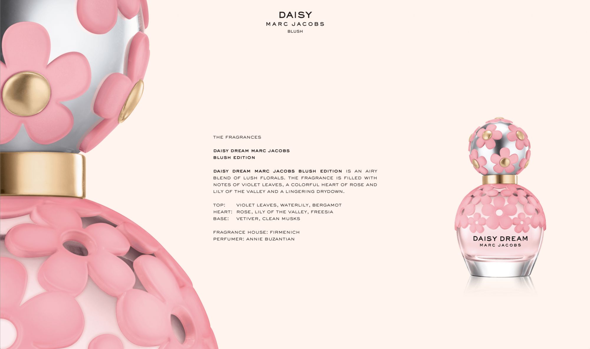 Daisy Blush