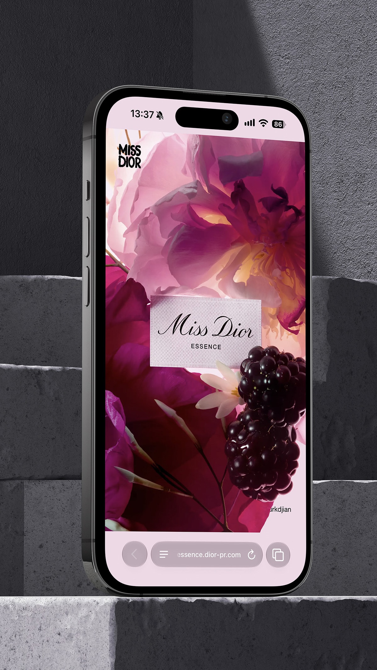 Miss Dior