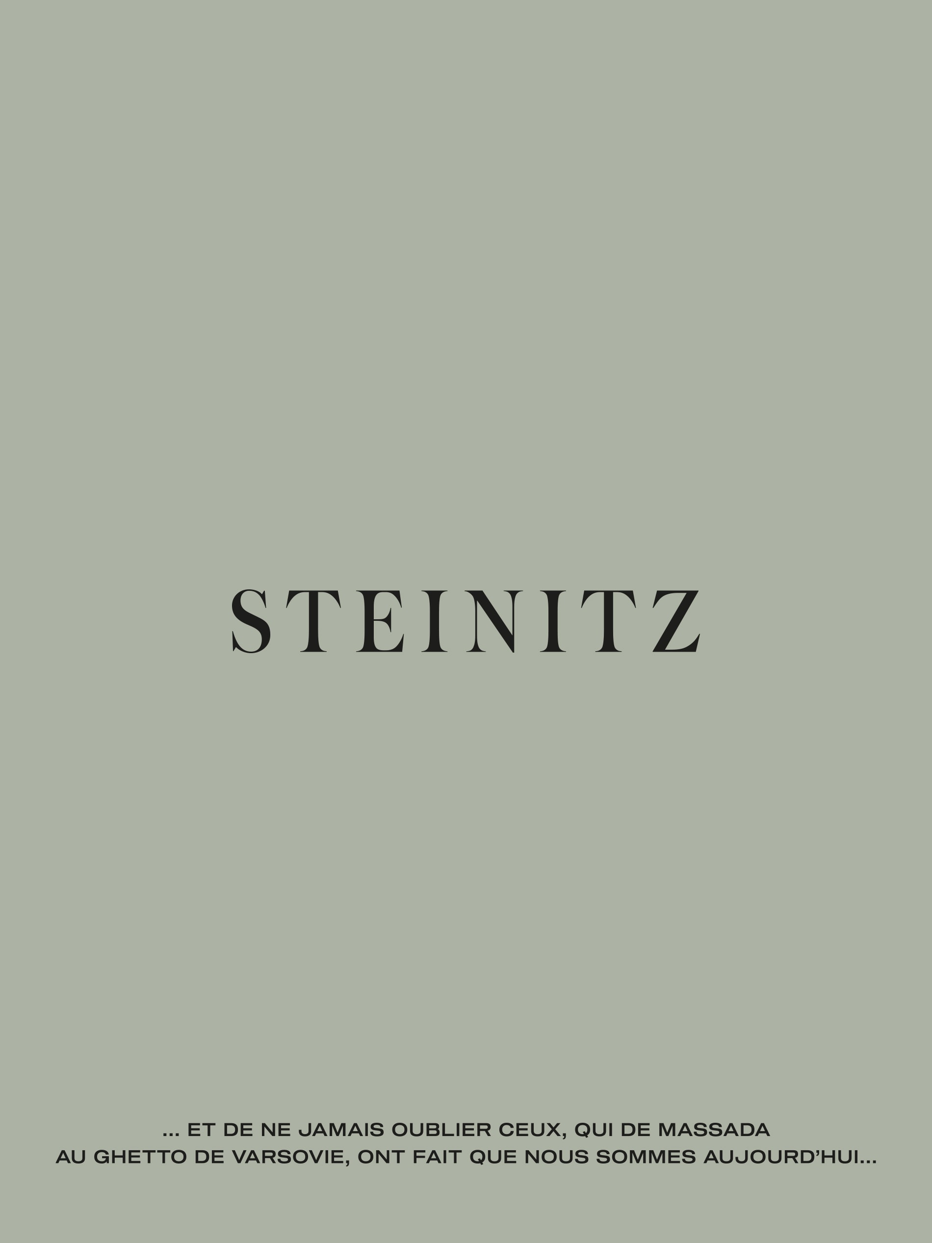Steinitz · Identity & Website